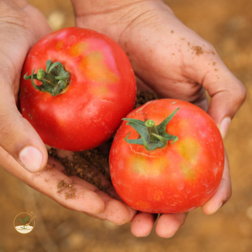 Atención al cliente